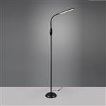 Toro LED Dimmable Touch Black Reading Floor Lamp R476641102