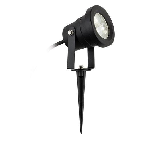Hayes LED IP65 Outdoor Wall/Spike Light 2830BK