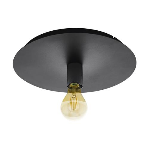 Passano 1 Flush Fitting Black Ceiling Light 98155 The Lighting