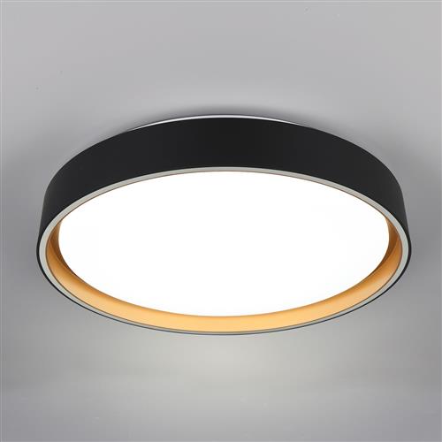 Felis LED Dimmable Black and Gold Flush Ceiling Fitting R64391080