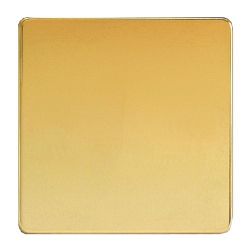 Polished Brass Blanking Plate XDVSBS