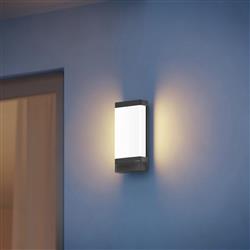 LED Anthracite Outdoor IP44 Wall Light L 271 Digi C