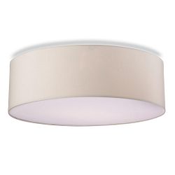 Phoenix Flush Ceiling Fitting