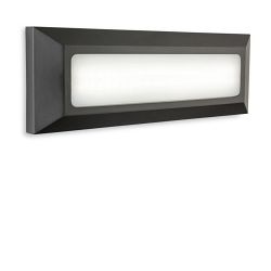 Shine LED Graphite Wall/Step Outdoor Light 2811GP