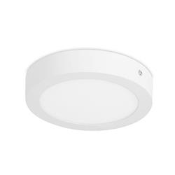 Easy Surface White LED Medium Surface Downlight