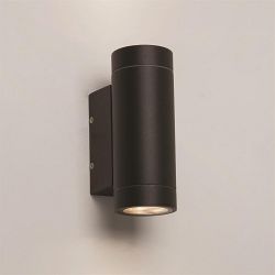 Dartmouth Twin LED Black Outdoor Wall Light 1372006