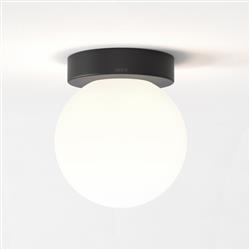 Tacoma IP44 Matt Black Surface Mounted Bathroom Light 1429027