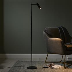 Dedicated LED Reading Floor Lamp