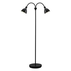 Ray Double Flexi-Neck Floor Lamp