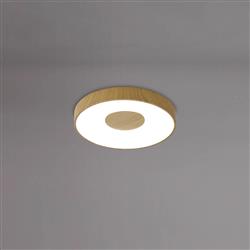 Coin Rounded Small Flush LED Ceiling Light