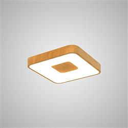 Coin Small Flush LED Ceiling Light