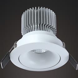 Formentera 12W Swivel LED Downlight