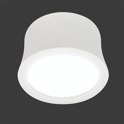 Gower LED Surface Spotlight