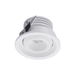 Neptuno LED Adjustable Downlight