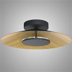 Orion Large Black LED Wall or Ceiling Light