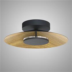 Orion Medium Black LED Light 