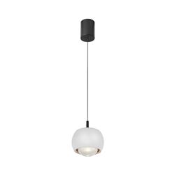 Roller LED Single Rise And Fall Pendant