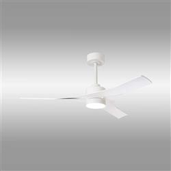 Thai LED Adjustable Summer And Winter Fan Light