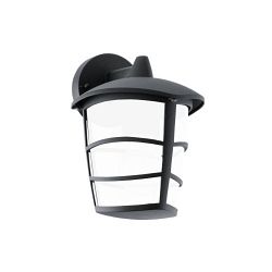 93516 Aloria LED Outdoor Wall Light