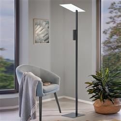 Budensea LED Black Cast Aluminum Floor Lamp 99113