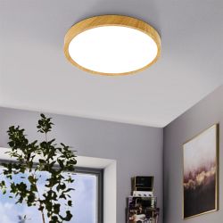 Musurita Large LED Circular Ceiling Mounted Fitting