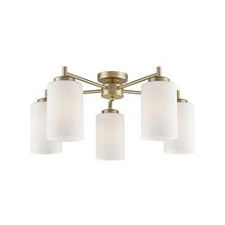 Decima 5 Arm Ceiling Light