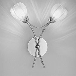 Chloris Chrome Double Wall Light FL2206/2