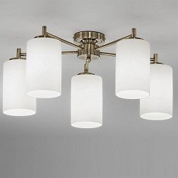 Decima 5 Arm Ceiling Light