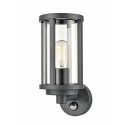 Fuera PIR Charcoal Grey Cage Effect Outdoor Wall Light EXT6635