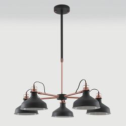 Harminder 5 Arm Ceiling Light