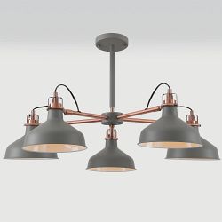 Harminder 5 Arm Ceiling Light