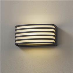 Phoenix Opal White IP54 Outdoor Wall Light