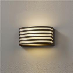 Phoenix Opal White IP54 Outdoor Wall Light