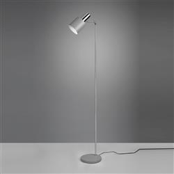 Adam Adjustable Head Floor Lamp