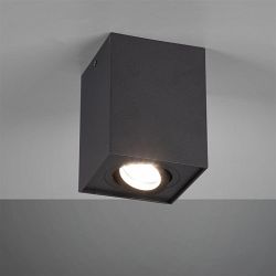 Biscuit Single Ceiling Spotlights