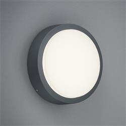 Breg IP54 Anthracite LED Outdoor Wall or Ceiling Fitting 227260142