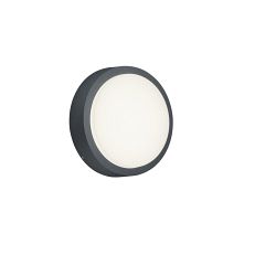 Breg IP54 Anthracite LED Outdoor Wall or Ceiling Fitting 227260142