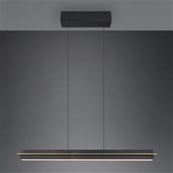 Emerson Rise And Fall Ceiling Pendants