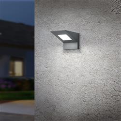 Nelson LED IP54 Outdoor Anthracite Wall Light 225360142