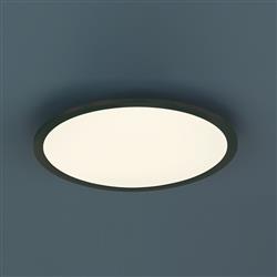 Phoenix Medium Round Ceiling Or Wall Fitting