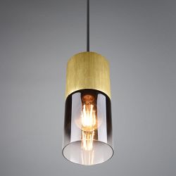 Robin Single Ceiling Pendants