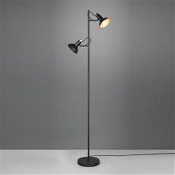 Roxie Dual Head Adjustable Floor Lamp