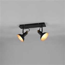 Roxie Double Ceiling Mounted Spotlight 