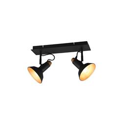 Roxie Double Ceiling Mounted Spotlight 