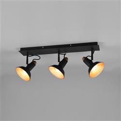 Roxie Triple Ceiling Mounted Spotlights