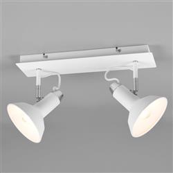 Roxie Double Ceiling Mounted Spotlight 