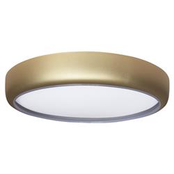 Gea LED Flush Ceiling Fitting