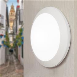 Berta Opal CCT LED IP66 Outdoor Wall Light