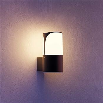 Astra IP54 Outdoor Dark Grey Wall Light PX-0627-ANT