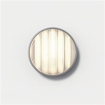 Montreal Small 220 Brushed Stainless Steel IP44 Outdoor Wall Light 1032011  